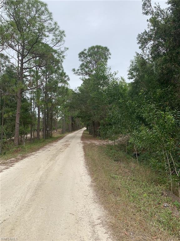 16931 James Walter LN Cape Coral FL 33993