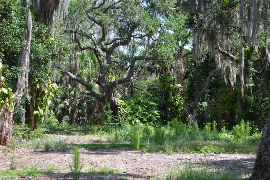 5th Avenue St. James City FL 33956